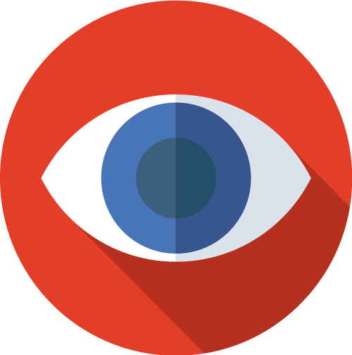 vision